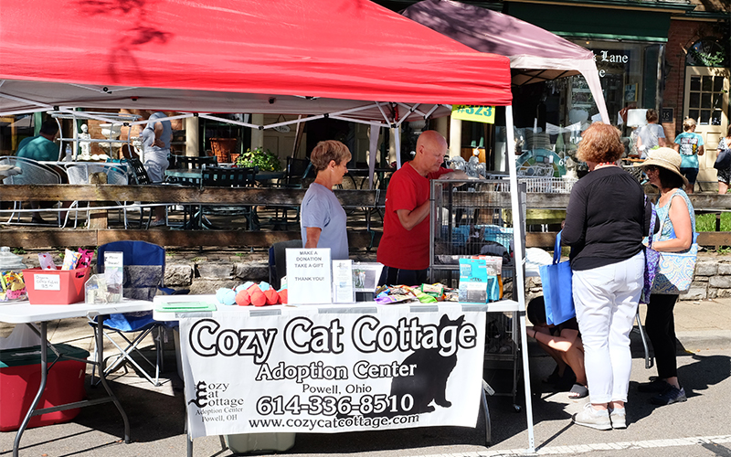 Cozy cat booth at a farmers' market.