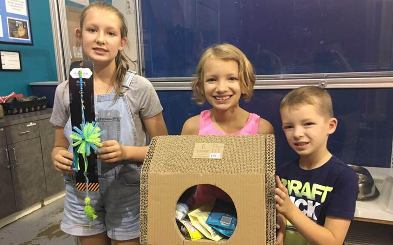 Group of 3 kids with donations for kittens